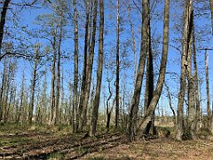 305_iP_20190505_IMG_3938