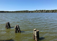 329_iP_20190505_IMG_3943