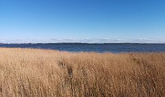 378_p20_IMG_20190505_172509