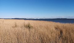 379_p20_IMG_20190505_172506