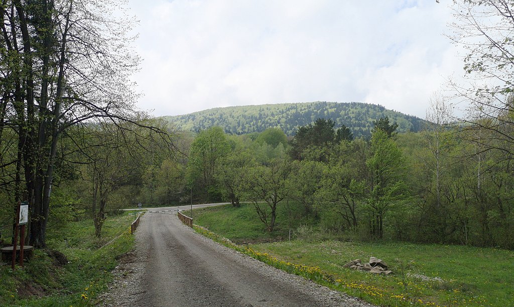 110_p20_IMG_20190517_111327.jpg - rrem