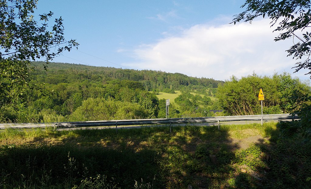 301_p20_IMG_20190610_182933.jpg - rrem