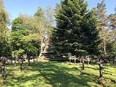 232_iP_190610_IMG_4016