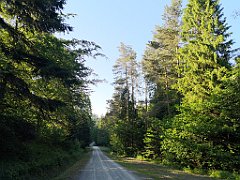 298_p20_IMG_20190610_181825