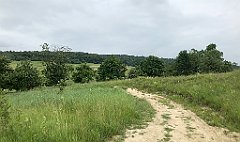 125_iP_190618_IMG_4033