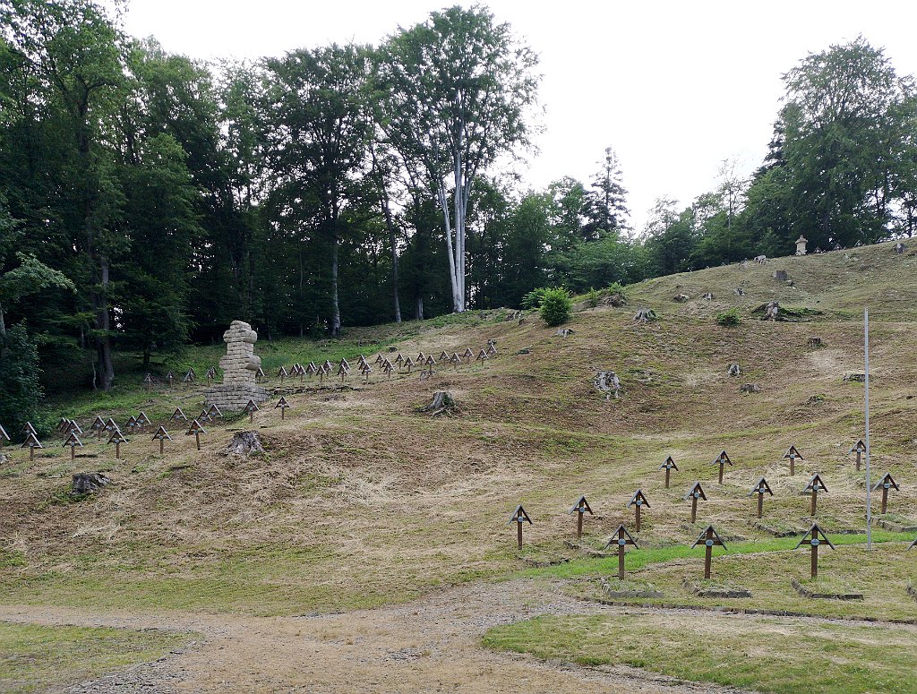 094_p20_IMG_20190618_183208.jpg - rrem