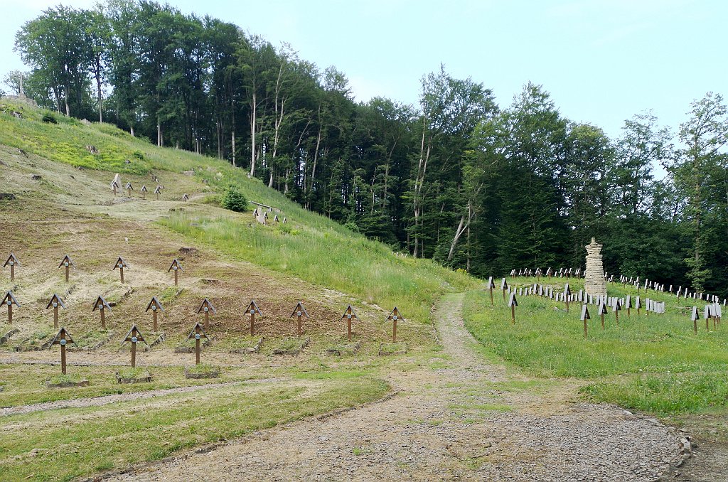 095_p20_IMG_20190618_183215.jpg - rrem