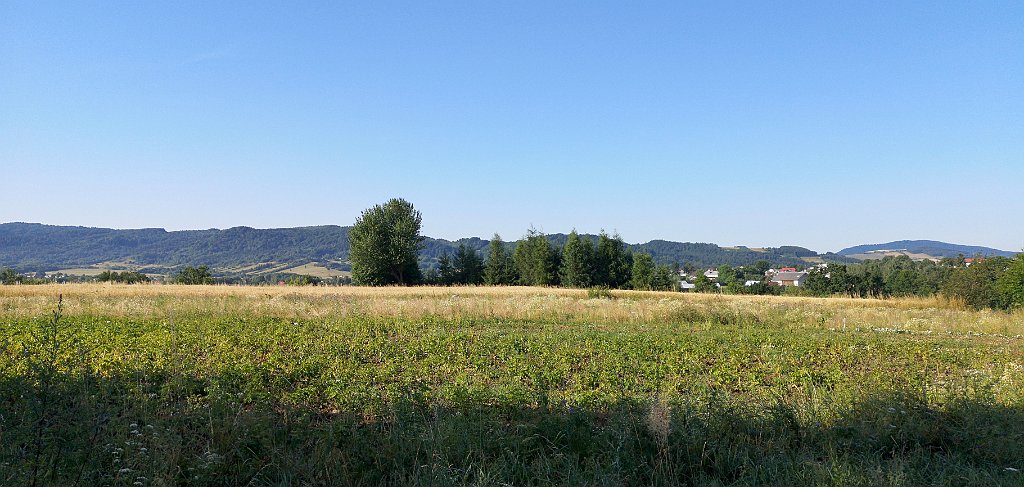 057_p20_IMG_20190712_072030.jpg - rrem