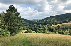 125_iP_190717_IMG_4169