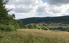 138_iP_190717_IMG_4176