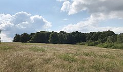 245_iP_190717_IMG_4211
