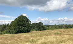 246_iP_190717_IMG_4212