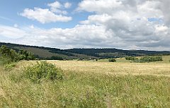 337_iP_190717_IMG_4228