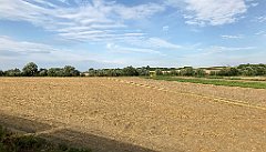 383_iP_190810_IMG_4462