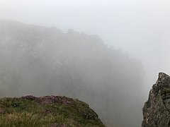 282_iP_190822_IMG_4507