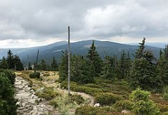 547_iP_190822_IMG_4560