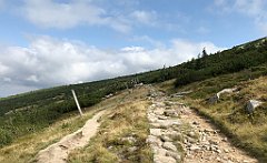 612_iP_190822_IMG_4567