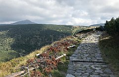 706_iP_190822_IMG_4600