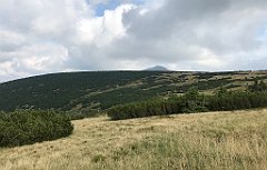 738_iP_190822_IMG_4602