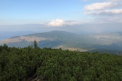 947_iP_190822_IMG_4649