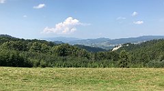 241_iP_190828_IMG_4687