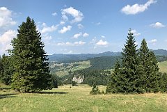 263_iP_190828_IMG_4691