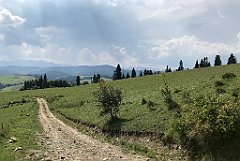 174_iP_190829_IMG_4713
