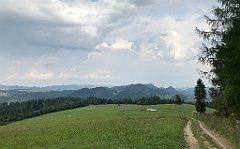 335_iP_190829_IMG_4737