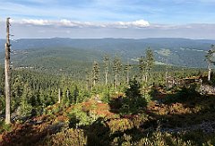 425_iP_190923_IMG_4926