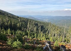 428_iP_190923_IMG_4930