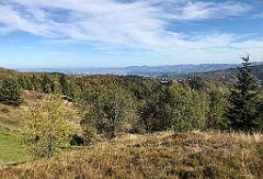 585_iP_191012_IMG_5219