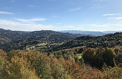 621_iP_191012_IMG_5265