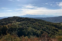 622_iP_191012_IMG_5267