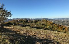 893_iP_191012_IMG_5312