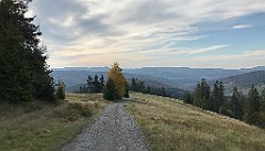 673_iP_191015_IMG_5472