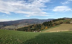 718_iP_191015_IMG_5484