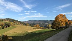 745_iP_191015_IMG_5494