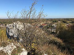 261_iP_191027_IMG_5550