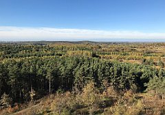 373_iP_191027_IMG_5559