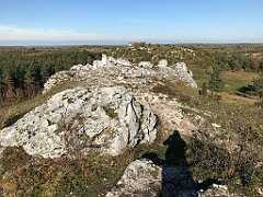 443_iP_191027_IMG_5584