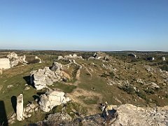 501_iP_191027_IMG_5595