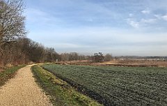 132_iP_200102_IMG_5683