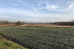 133_iP_200102_IMG_5682