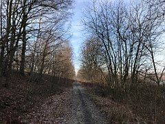 443_iP_200102_IMG_5758