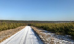 293_iP_200107_IMG_5817