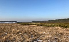 297_iP_200107_IMG_5824