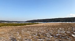 301_iP_200107_IMG_5828