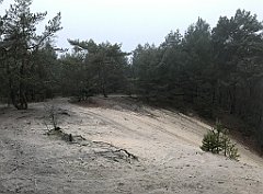 047_iP_200114_IMG_5879