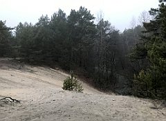 048_iP_200114_IMG_5880