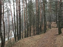 066_iP_200114_IMG_5899